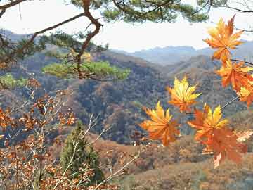 永顺烈士遗属补助政策最新：永顺县火葬场 