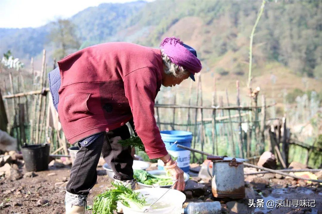西宁光伏太阳能养蜂，绿色能源与生态农业的和谐共生之道