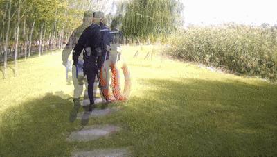 毕节市岔河镇最新动态概览