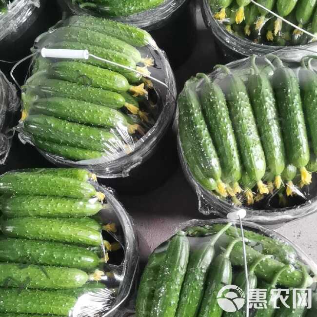 喜笑颜开 第13页