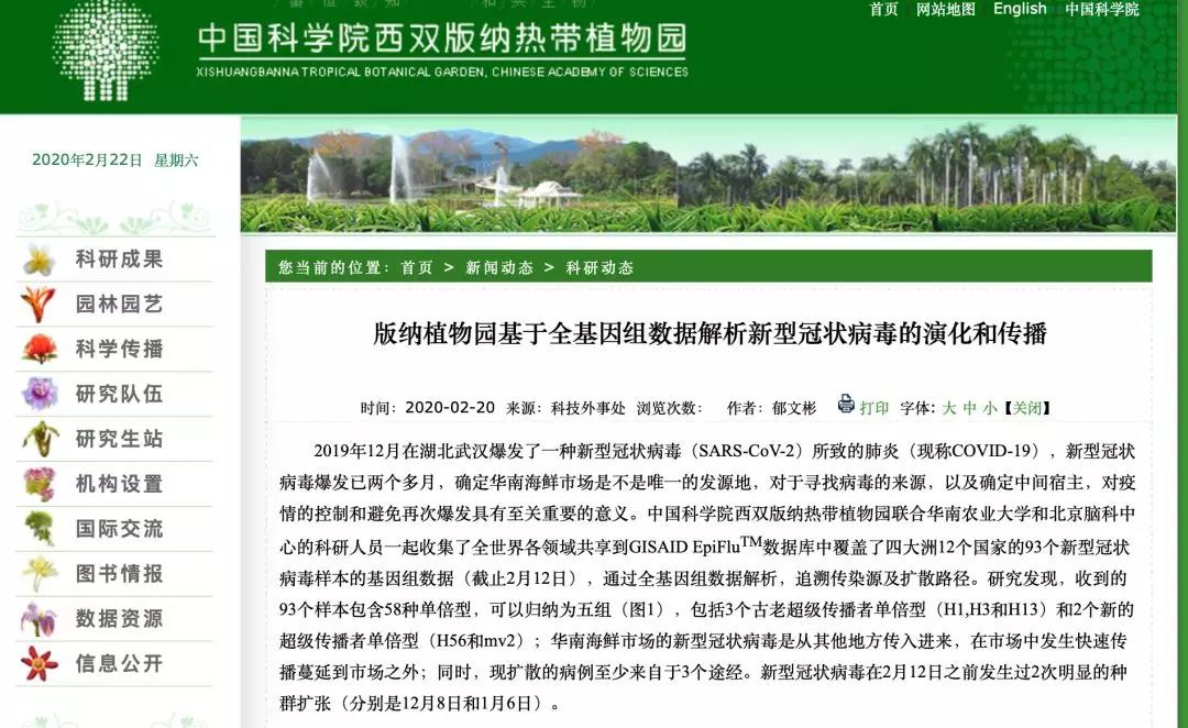 绿意盎然 第11页