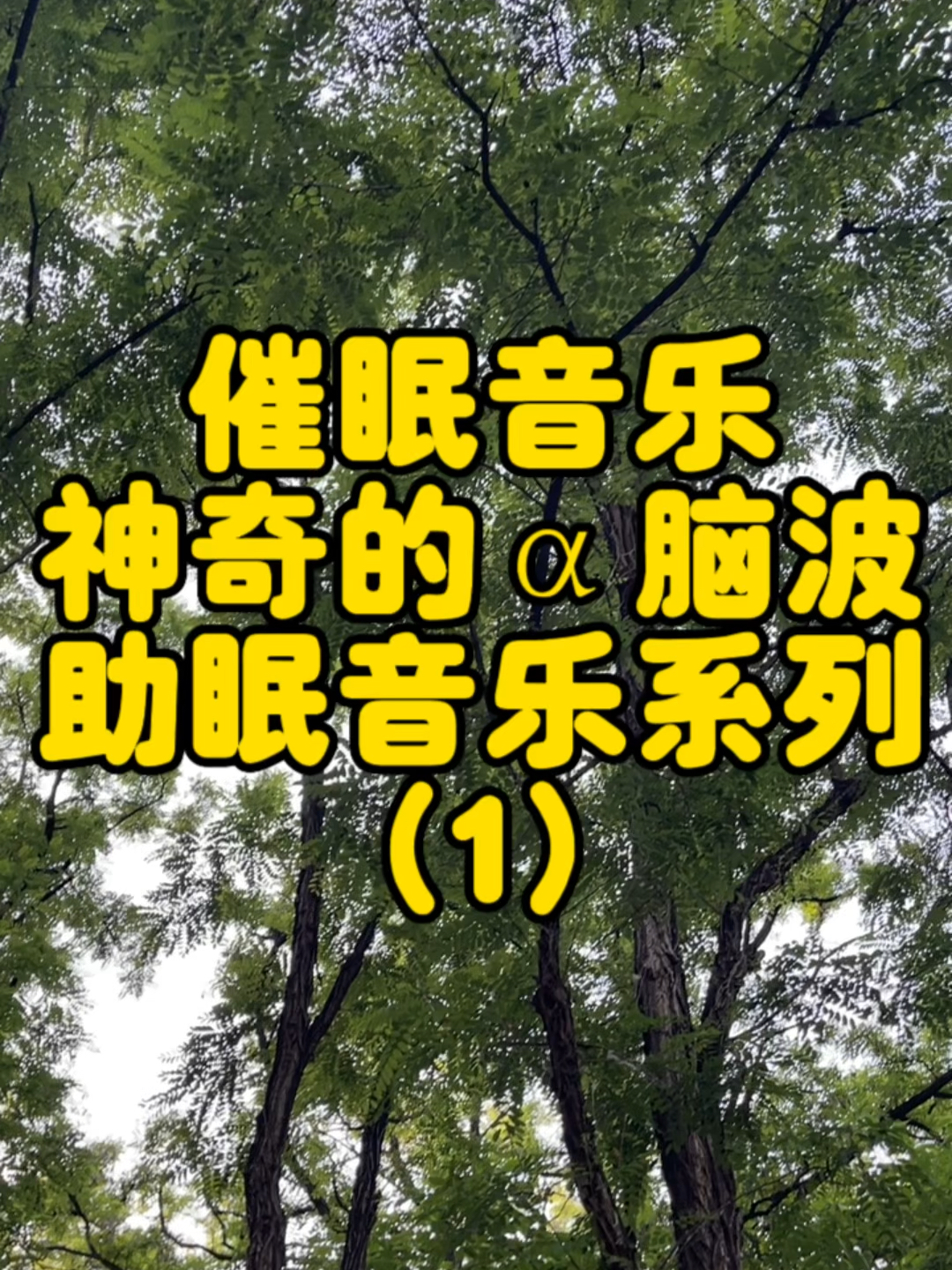惊涛骇浪 第11页