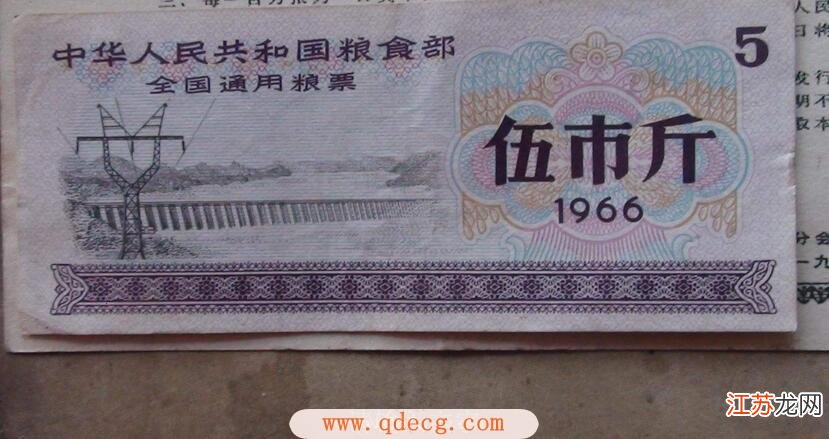 最新粮票价格及其市场影响力分析