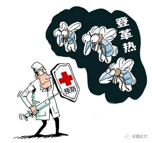 景洪登革热最新疫情，全面防控，民众健康有保障