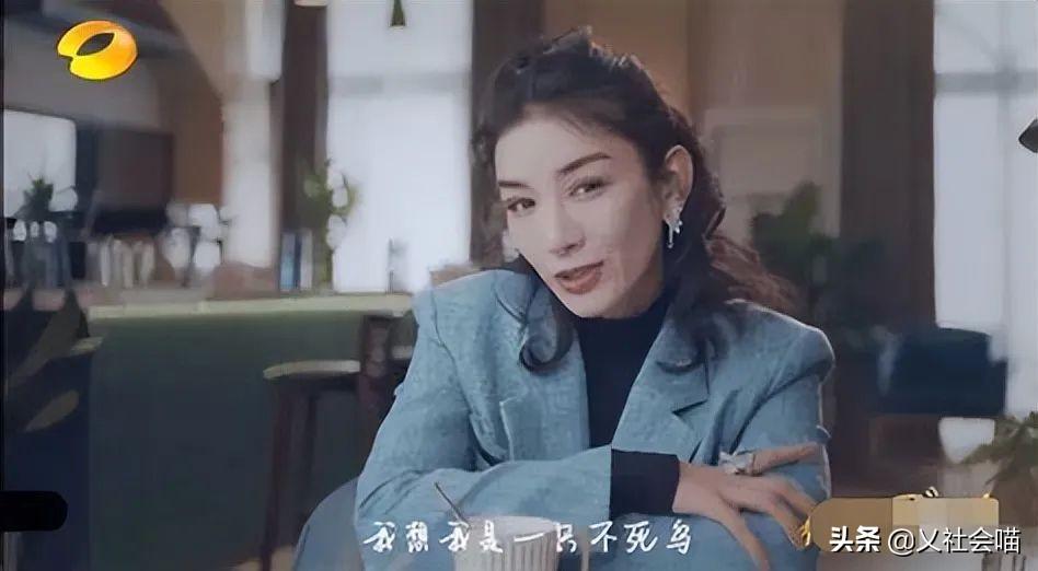 刘恺威访谈节目最新,刘恺威访谈节目最新，深度探讨演艺生涯与人生哲学