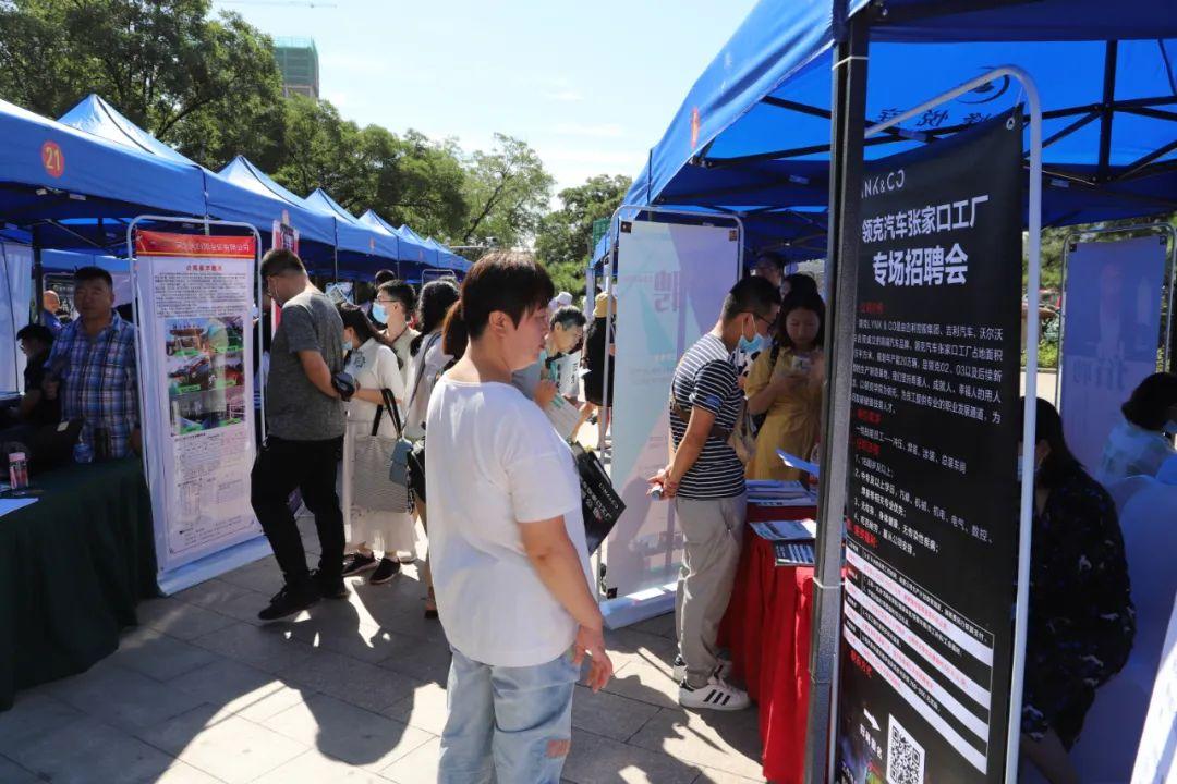 石家庄桥西最新招聘,石家庄桥西地区最新招聘动态及职业机会展望
