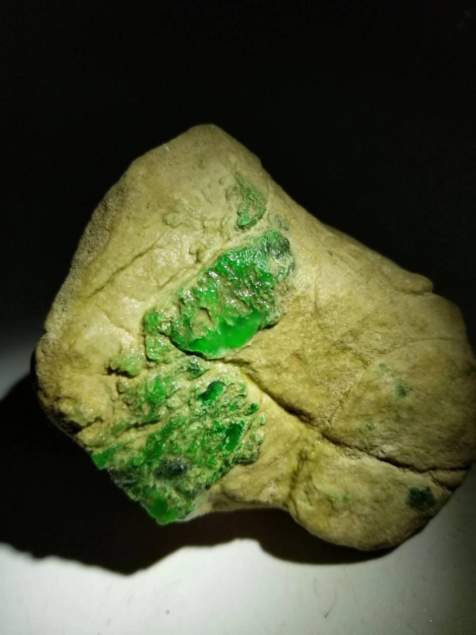 狐假虎威 第15页