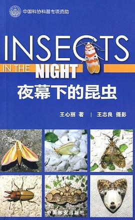 夜虫秀最新版,关于夜虫秀
