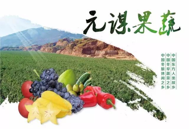 元谋蔬菜市场最新概览，26日最新价格一览