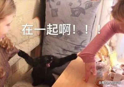 来龙去脉_1 第11页
