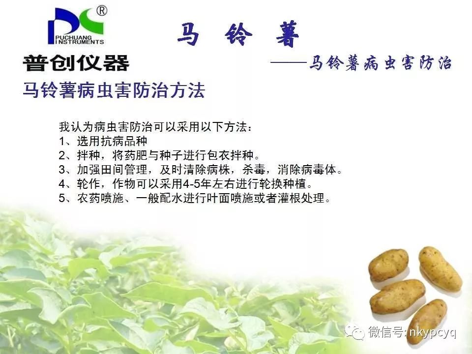 环保葬新篇章，绿色告别与深厚情谊的日常体现