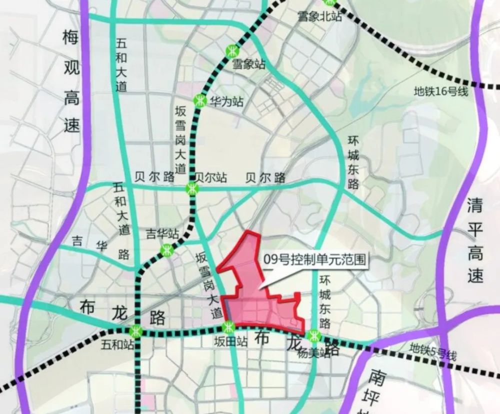 绿树成阴 第11页