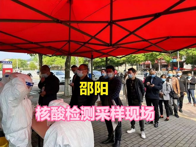 邵阳疫情最新动态报告，共同关注与应对