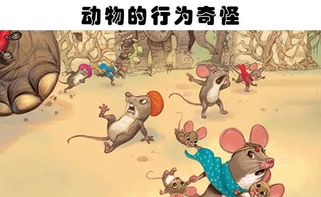 揭秘猴哥现象，自然与科技的探索之旅