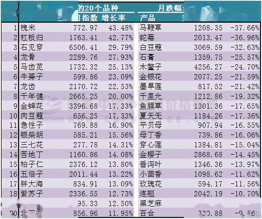 与自然共舞，重拾内心的平和乐章——最新探险记