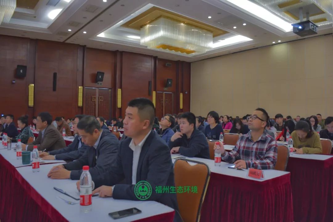 最新台风布动态解析与关键要点探讨（28日报告）