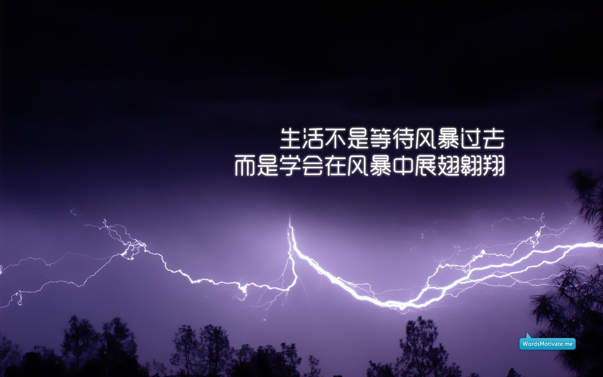 揭秘，全新科技神器31日9JHP，重塑未来生活体验！