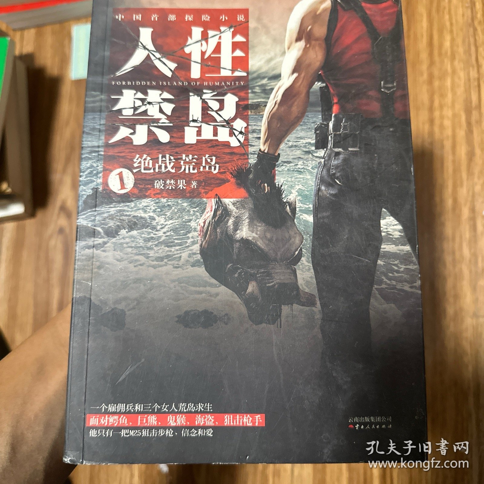 揭秘人性禁岛，最新探索与深度解读（更新至11月1日）