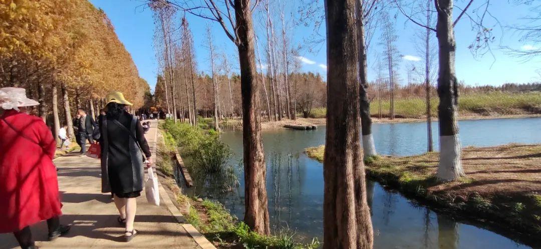 鹤发童颜 第10页