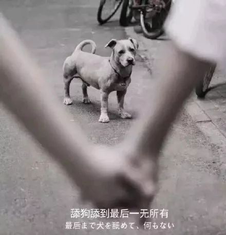 湖蓝 第10页