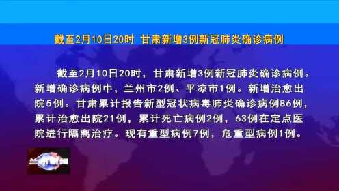 甘肃最新确诊肺炎病例深度解析与关注，最新进展及关注焦点