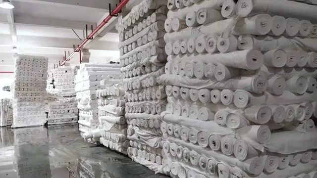 11月5日胚布行情深度解析及市场最新动态