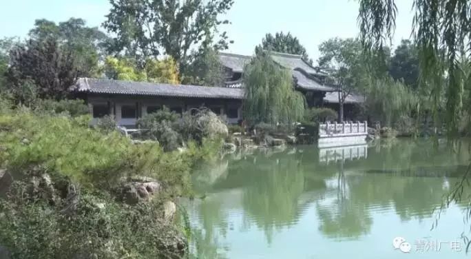 青州旭馨园，探寻自然美景之旅，心灵宁静之约的最新动态（11月7日）