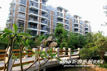 南阳七里香溪之旅，与自然美景的不期而遇，探寻内心宁静与平和的最新消息