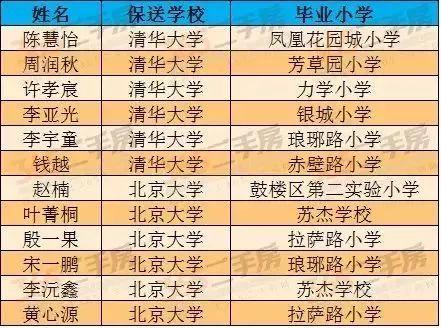 新奥2024正版资料大全,深入探讨现象解答解释_PT28.665