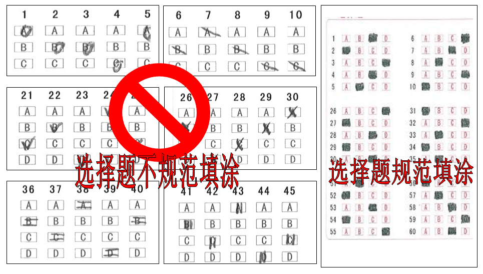 7777788888王中王最新玄机,事件解答解释落实_标准版11.423