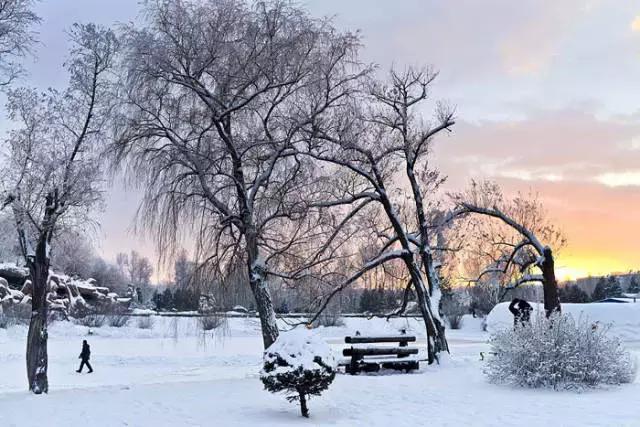11月8日最新雪景，审美差异下的多元观点探析
