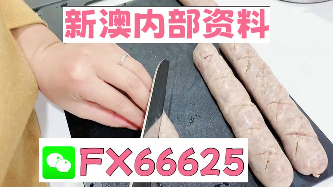 新澳精准资料内部资料,动态词语解析_策展版TYP710.24