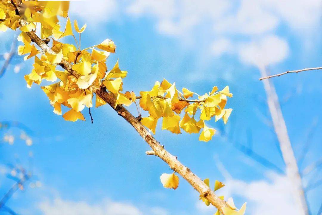 揭秘诡秘之主最新动态，不为人知的秘密揭晓于11月8日