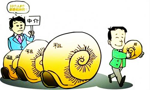 最新港口芝麻行情详解与购买指南（适合初学者及进阶用户阅读）—— 11月8日行情更新