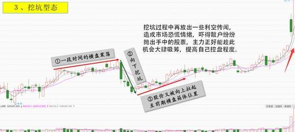 JED931.1明星版精准跑狗图7777788888详尽解析与全面解读