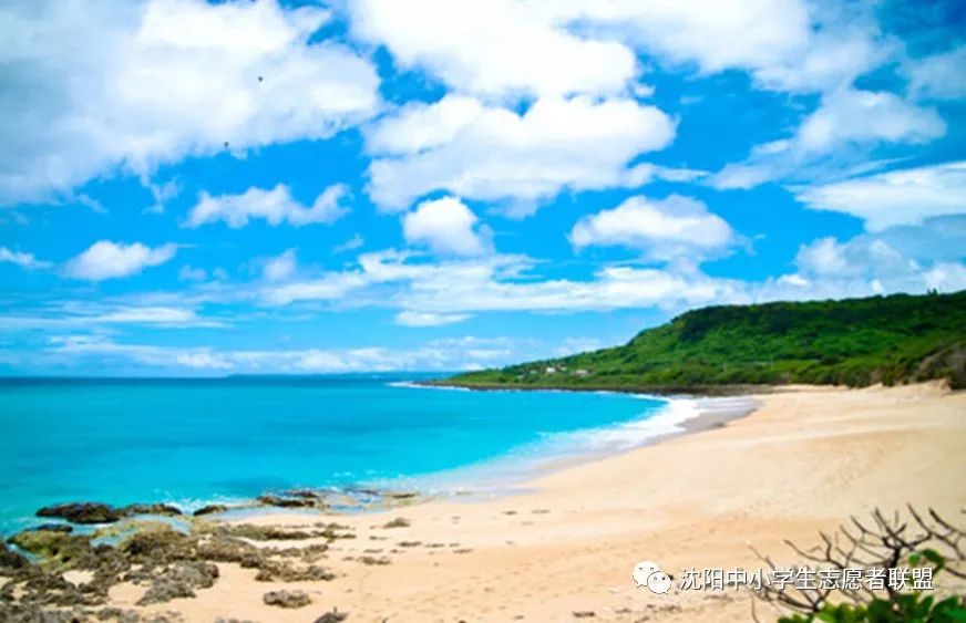 探寻海洋宝藏，11月花海间赶海最新体验与发现