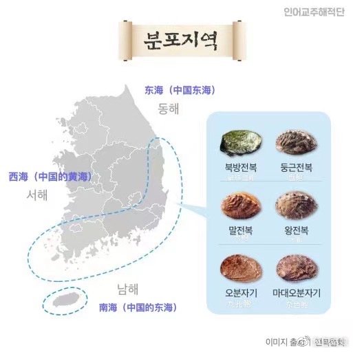 韩国鲍鱼最新价格动态，市场走势、购买指南及影响因素分析