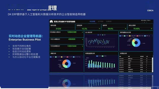 2024新奥精准正版资料,数据资料解释落实_影音版KOL815.21