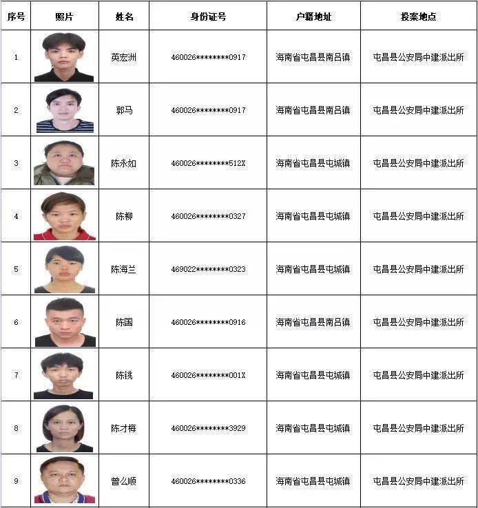 龙盘虎踞 第7页