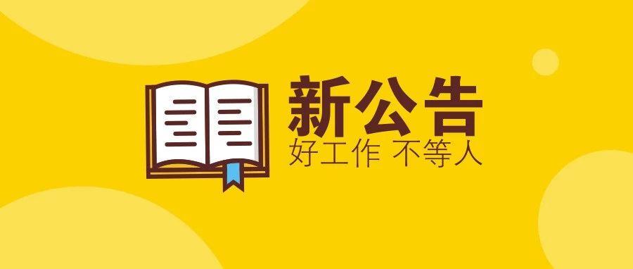 11月10日温州最新招聘动态深度解析，聚焦黄金招聘期，职场人的不二选择