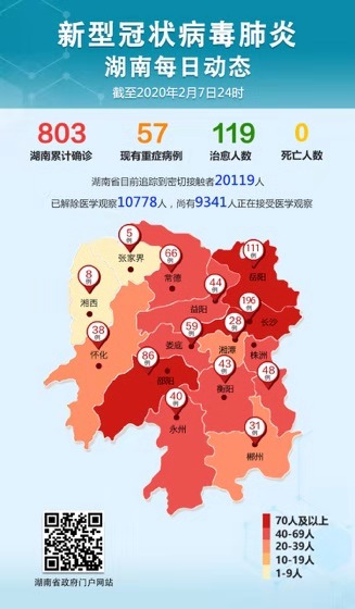 历史上的11月12日湖南肺炎疫情最新通报，概览与通报