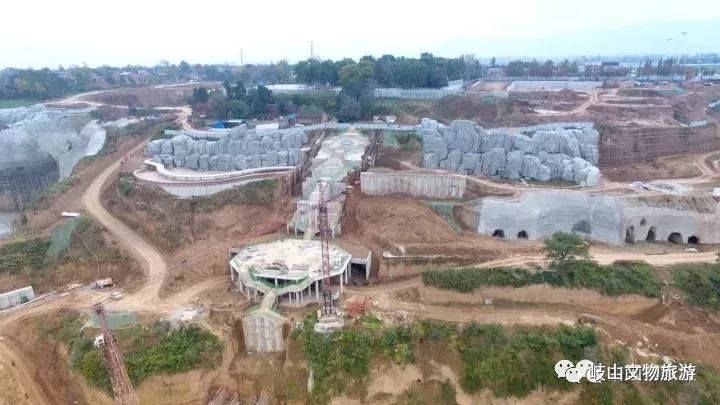 雁过拔毛 第8页