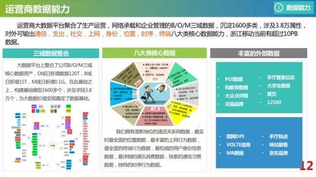 新澳门平特一肖100准,数据资料解释落实_化神境QTM524.77