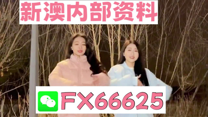 管家婆精准一码一肖，践行社会责任之AEJ61.482赛博版