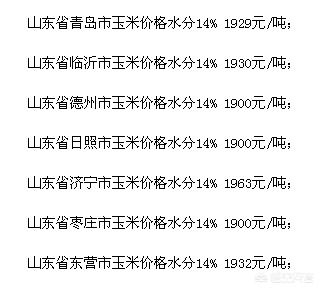 山东地区玉米价格最新行情走势深度解析及预测报告（11月版）