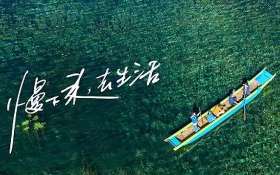 2024年11月15日 第38页