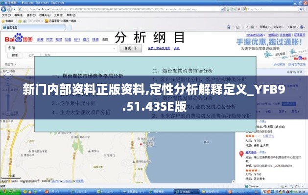 新门内部资料正版资料,定性分析解释定义_YFB9.51.43SE版