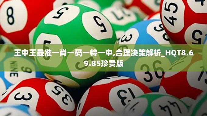 王中王最准一肖一码一特一中,合理决策解析_HQT8.69.85珍贵版