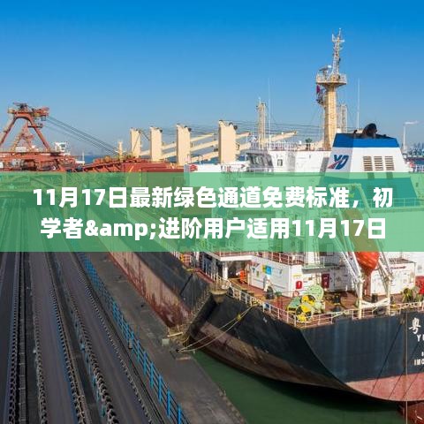 11月17日绿色通道免费标准，初学者与进阶用户的操作指南