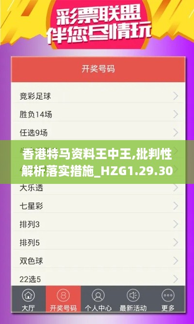 香港特马资料王中王,批判性解析落实措施_HZG1.29.30DIY工具版